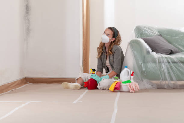 Trusted Black Mold Removal service in Roanoke, TX - WQB Mold Removal